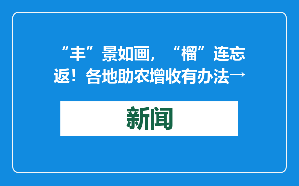 “丰”景如画，“榴”连忘返！各地助农增收有办法→