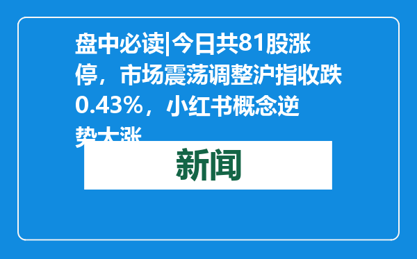 盘中必读|今日共81股涨停，市场震荡调整沪指收跌0.43%，小红书概念逆势大涨