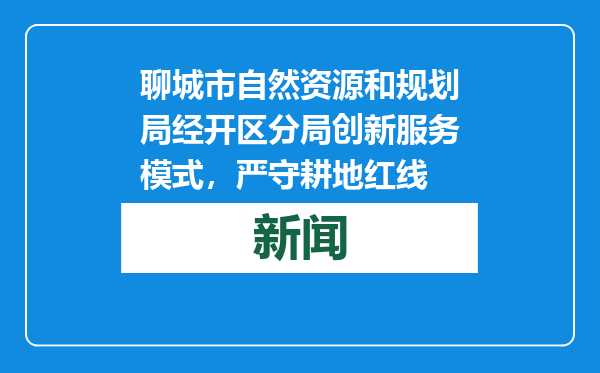 聊城市自然资源和规划局经开区分局创新服务模式，严守耕地红线