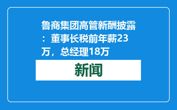 鲁商集团高管新酬披露：董事长税前年薪23万，总经理18万