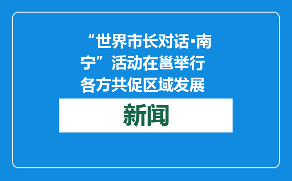 “世界市长对话·南宁”活动在邕举行 各方共促区域发展