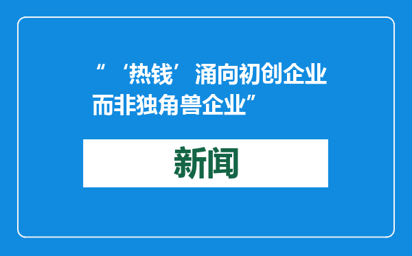 “‘热钱’涌向初创企业 而非独角兽企业”