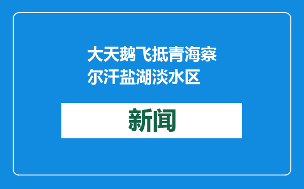 大天鹅飞抵青海察尔汗盐湖淡水区