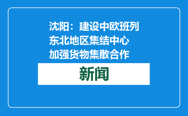 沈阳：建设中欧班列东北地区集结中心 加强货物集散合作