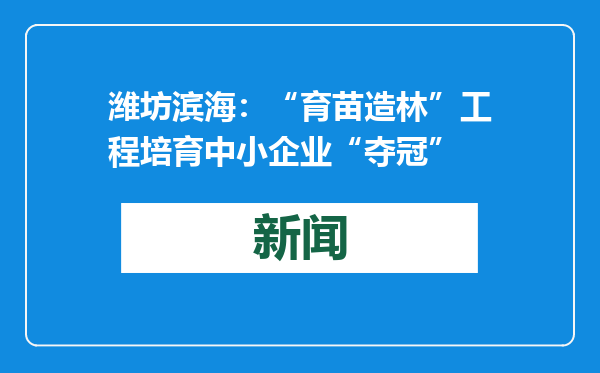 潍坊滨海：“育苗造林”工程培育中小企业“夺冠”