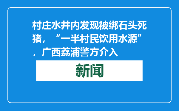 村庄水井内发现被绑石头死猪，“一半村民饮用水源”，广西荔浦警方介入