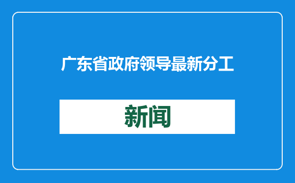广东省政府领导最新分工