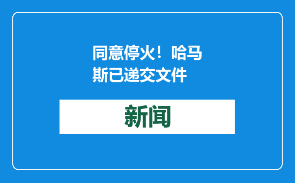 同意停火！哈马斯已递交文件