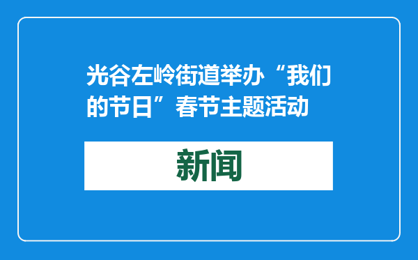 光谷左岭街道举办“我们的节日”春节主题活动