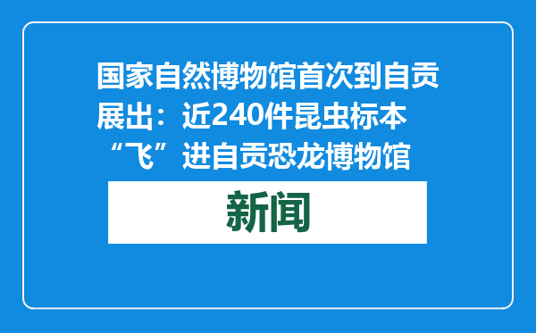 国家自然博物馆首次到自贡展出：近240件昆虫标本“飞”进自贡恐龙博物馆