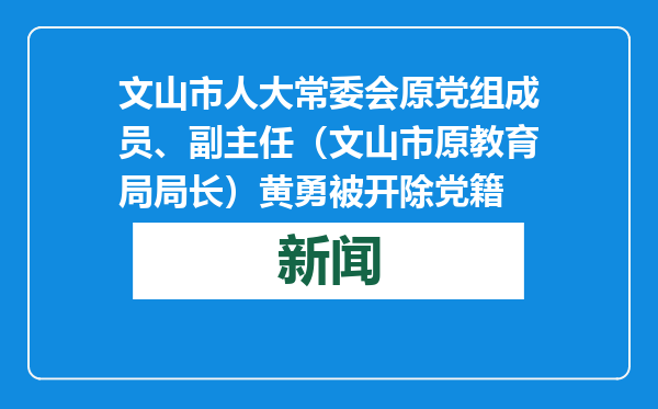 文山市人大常委会原党组成员、副主任（文山市原教育局局长）黄勇被开除党籍