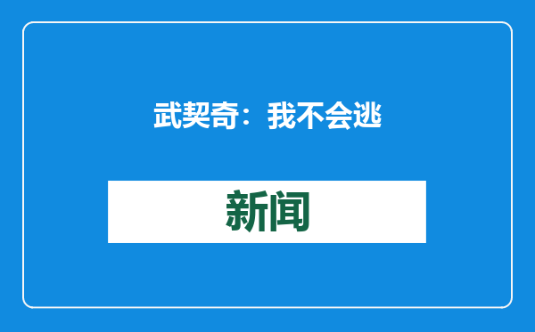 武契奇：我不会逃
