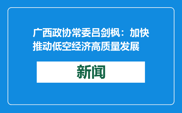 广西政协常委吕剑枫：加快推动低空经济高质量发展