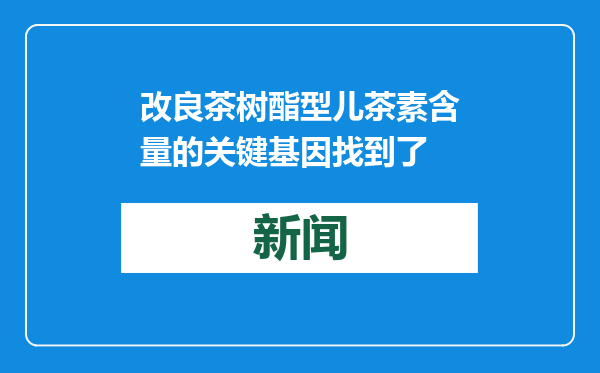 改良茶树酯型儿茶素含量的关键基因找到了