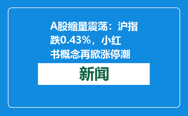 A股缩量震荡：沪指跌0.43%，小红书概念再掀涨停潮