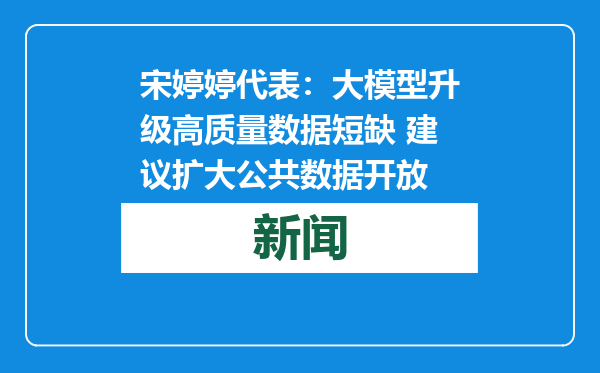宋婷婷代表：大模型升级高质量数据短缺 建议扩大公共数据开放