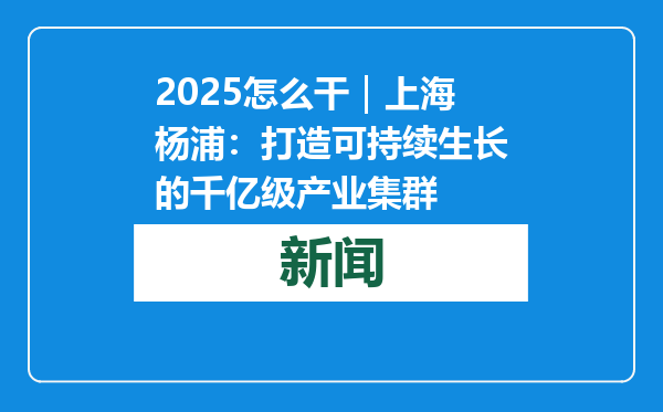 2025怎么干｜上海杨浦：打造可持续生长的千亿级产业集群