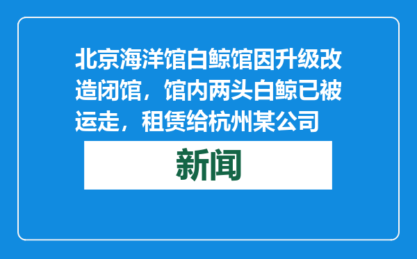 北京海洋馆白鲸馆因升级改造闭馆，馆内两头白鲸已被运走，租赁给杭州某公司