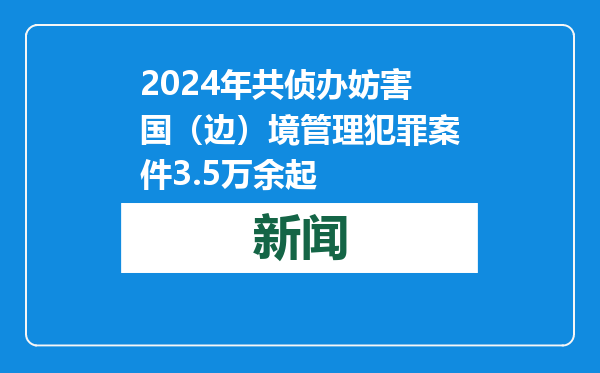 2024年共侦办妨害国（边）境管理犯罪案件3.5万余起