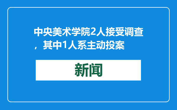 中央美术学院2人接受调查，其中1人系主动投案