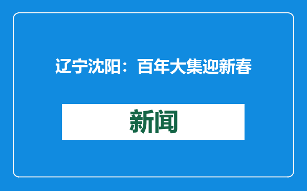辽宁沈阳：百年大集迎新春