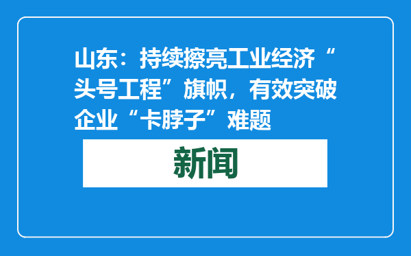 山东：持续擦亮工业经济“头号工程”旗帜，有效突破企业“卡脖子”难题