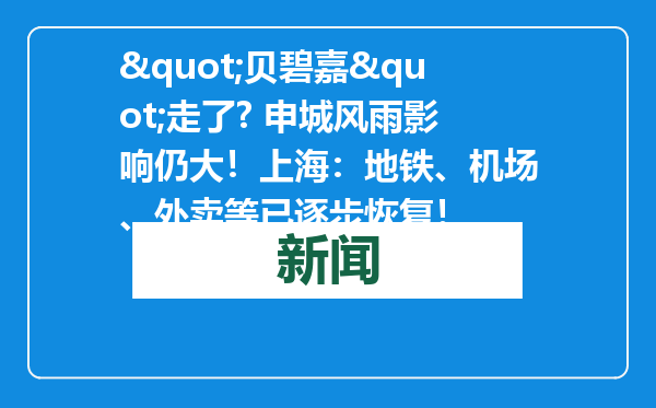 &quot;贝碧嘉&quot;走了? 申城风雨影响仍大！上海：地铁、机场、外卖等已逐步恢复！