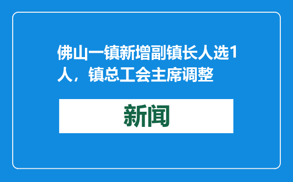 佛山一镇新增副镇长人选1人，镇总工会主席调整