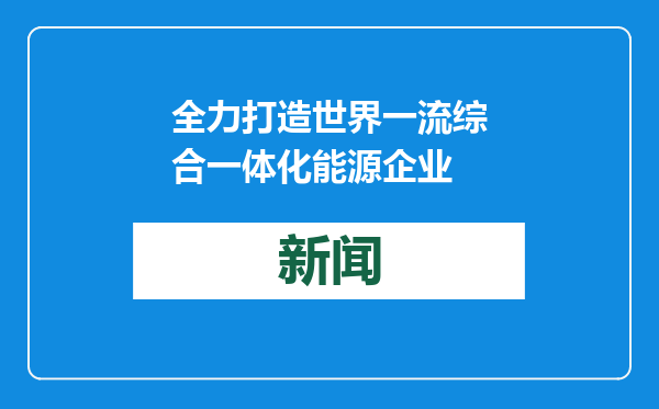 全力打造世界一流综合一体化能源企业