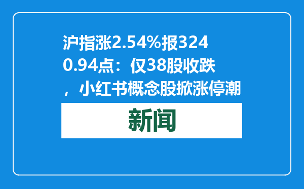 沪指涨2.54%报3240.94点：仅38股收跌，小红书概念股掀涨停潮