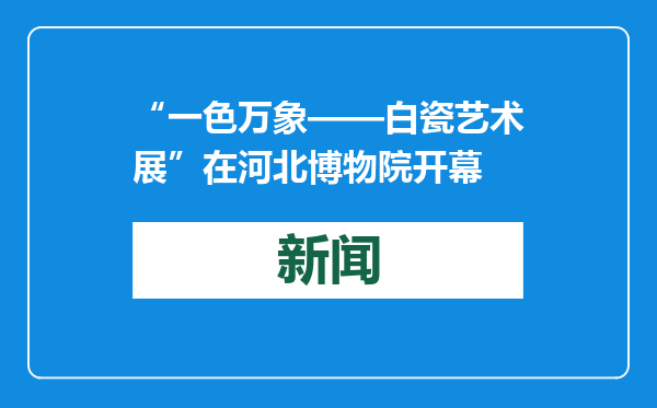 “一色万象——白瓷艺术展”在河北博物院开幕