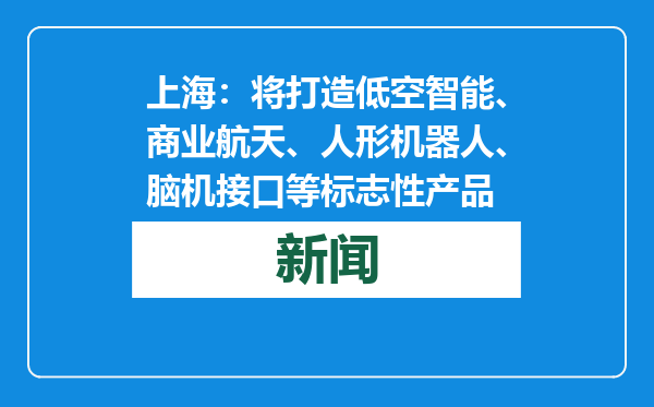 上海：将打造低空智能、商业航天、人形机器人、脑机接口等标志性产品