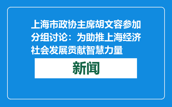 上海市政协主席胡文容参加分组讨论：为助推上海经济社会发展贡献智慧力量