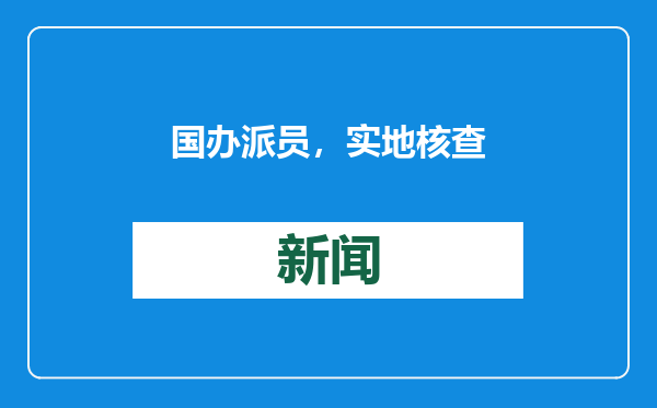 国办派员，实地核查