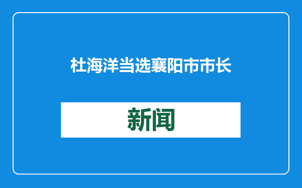 杜海洋当选襄阳市市长