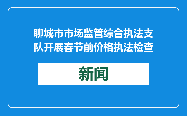 聊城市市场监管综合执法支队开展春节前价格执法检查