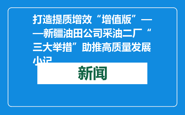 打造提质增效“增值版”——新疆油田公司采油二厂“三大举措”助推高质量发展小记
