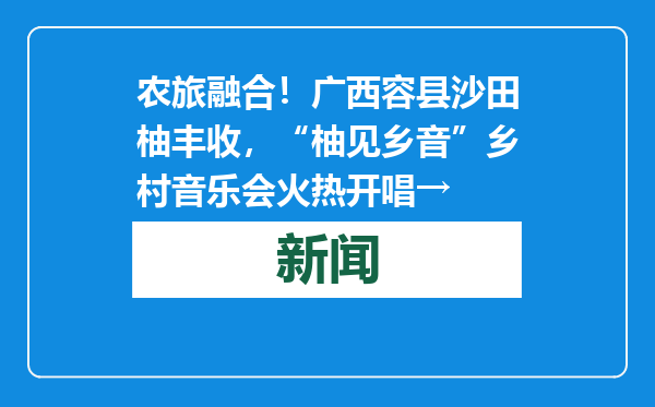 农旅融合！广西容县沙田柚丰收，“柚见乡音”乡村音乐会火热开唱→