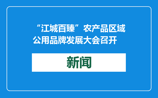 “江城百臻”农产品区域公用品牌发展大会召开