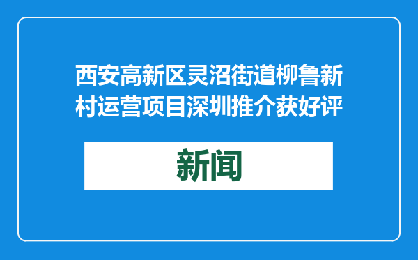 西安高新区灵沼街道柳鲁新村运营项目深圳推介获好评