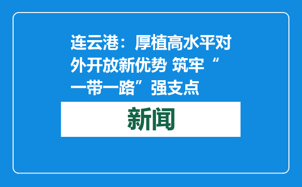 连云港：厚植高水平对外开放新优势 筑牢“一带一路”强支点