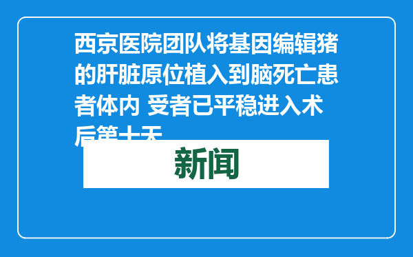 西京医院团队将基因编辑猪的肝脏原位植入到脑死亡患者体内 受者已平稳进入术后第十天