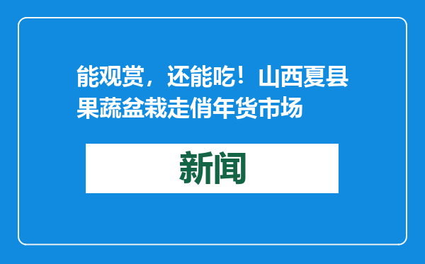 能观赏，还能吃！山西夏县果蔬盆栽走俏年货市场