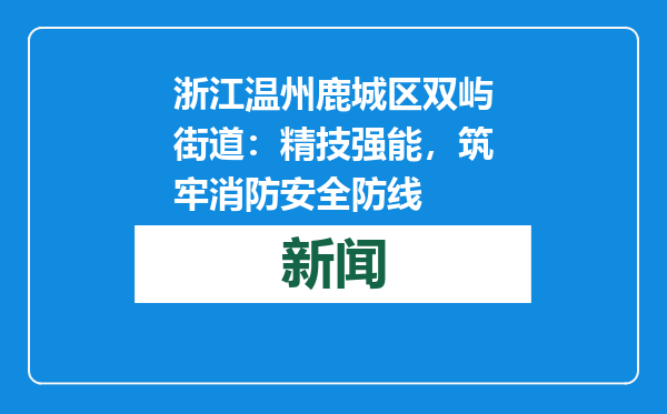 浙江温州鹿城区双屿街道：精技强能，筑牢消防安全防线