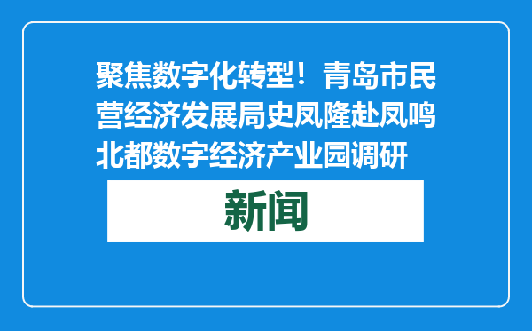 聚焦数字化转型！青岛市民营经济发展局史凤隆赴凤鸣北都数字经济产业园调研