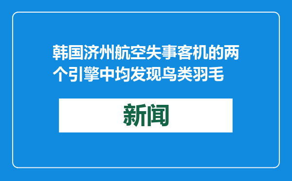 韩国济州航空失事客机的两个引擎中均发现鸟类羽毛