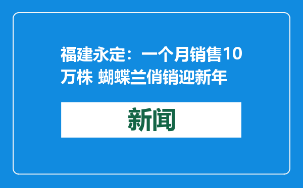 福建永定：一个月销售10万株 蝴蝶兰俏销迎新年