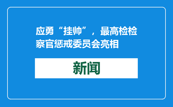 应勇“挂帅”，最高检检察官惩戒委员会亮相