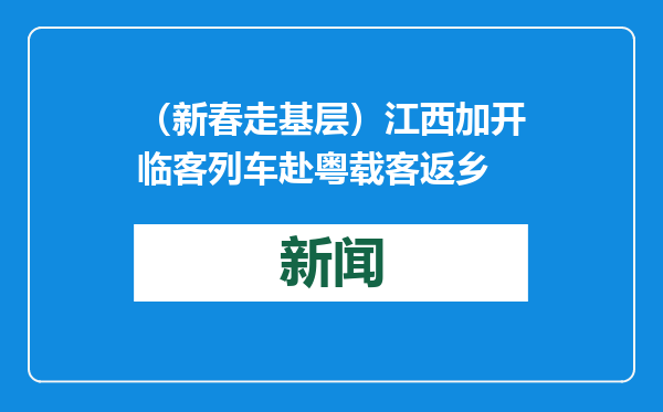 （新春走基层）江西加开临客列车赴粤载客返乡