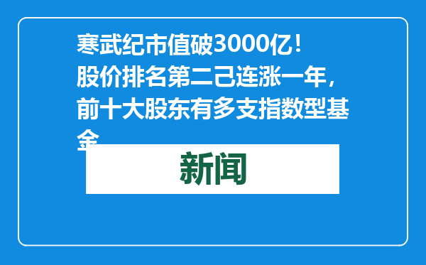 寒武纪市值破3000亿！股价排名第二己连涨一年，前十大股东有多支指数型基金